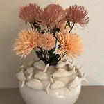 L'ecrin De L'ocean *