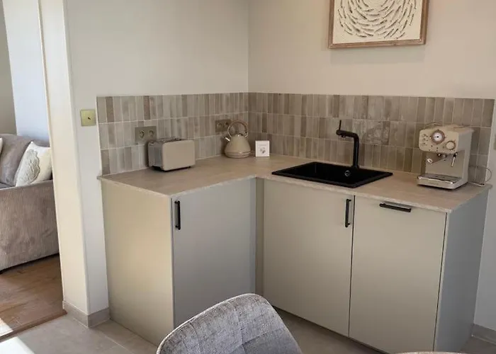 L'ecrin De L'ocean 아파트 *